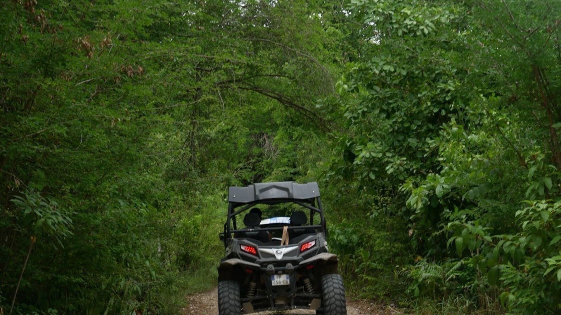 Buggy Nord Grande Terre         