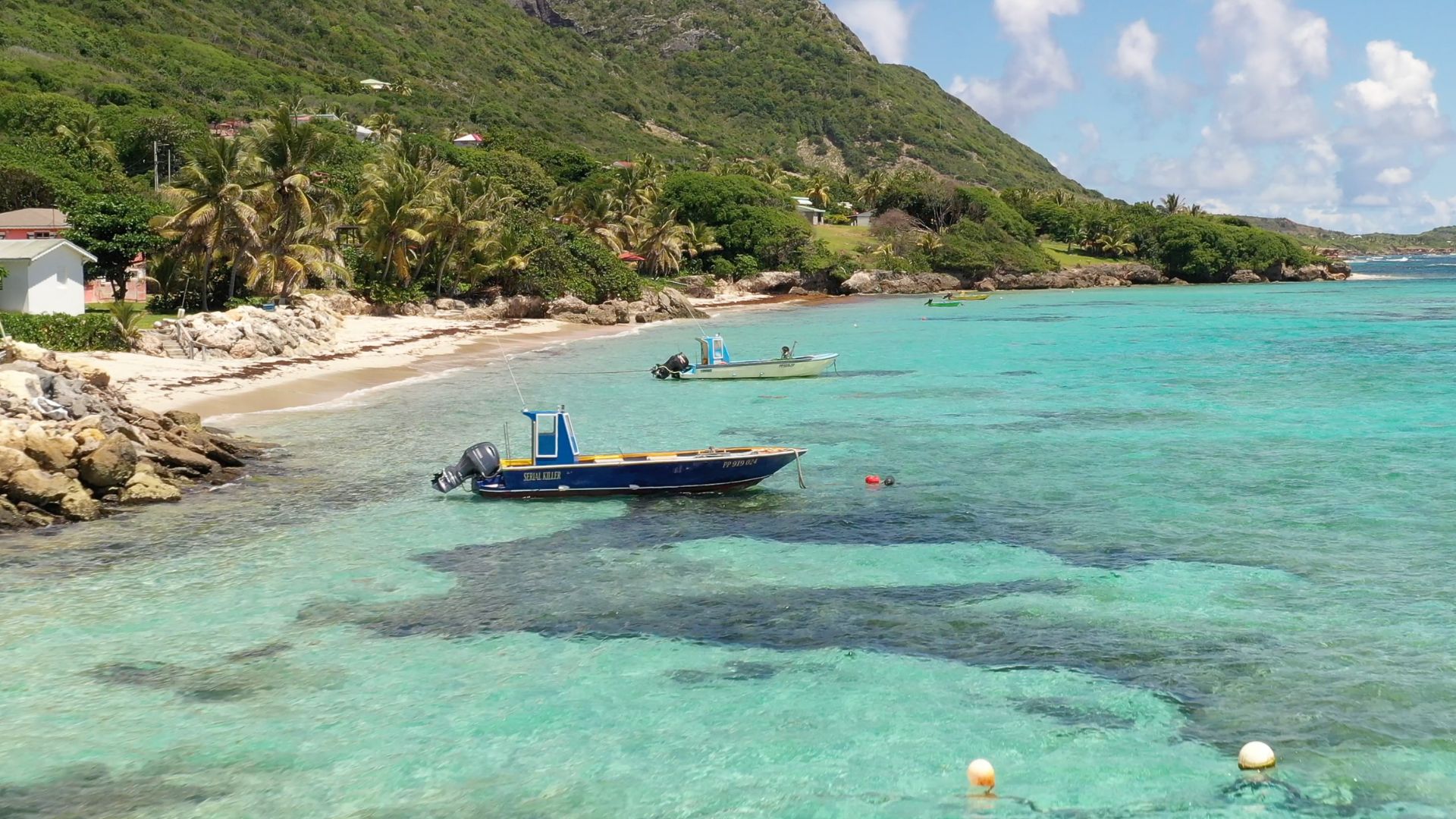 Réservez votre excursions air, terre ou mer avec Couleurs Caraibes sur ...