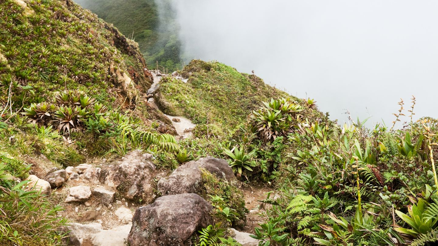 La Soufrière         