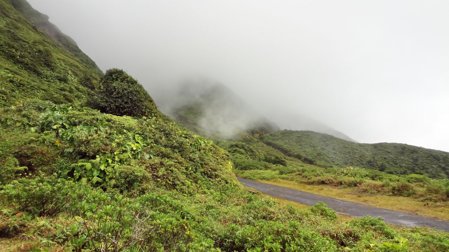 La Soufrière              